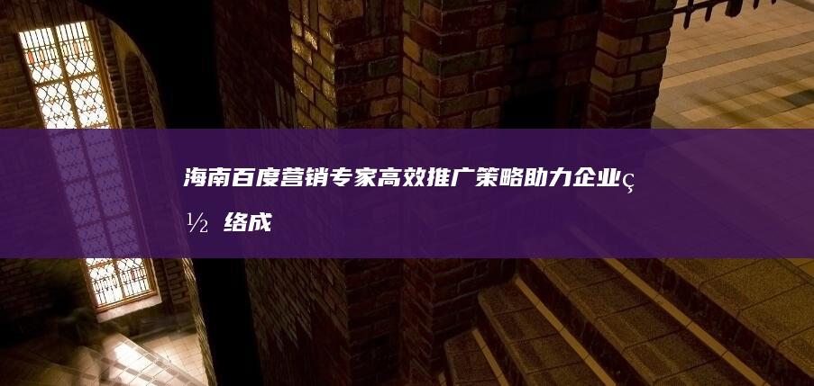 海南百度营销专家：高效推广策略助力企业网络成长